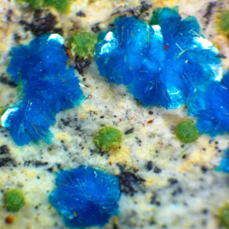 Sampleite - Image 3