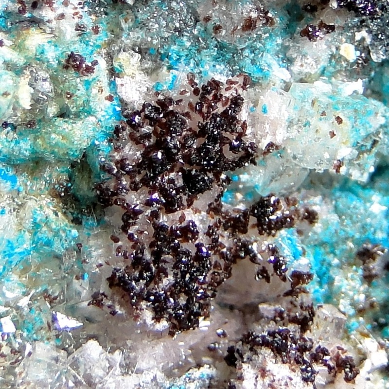 Canutite - Image 2