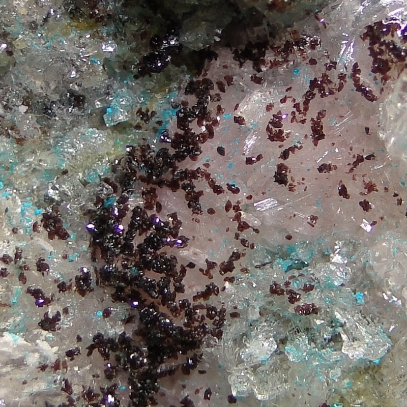 Canutite - Image 7