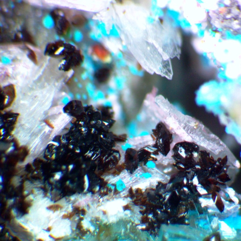 Canutite - Image 5