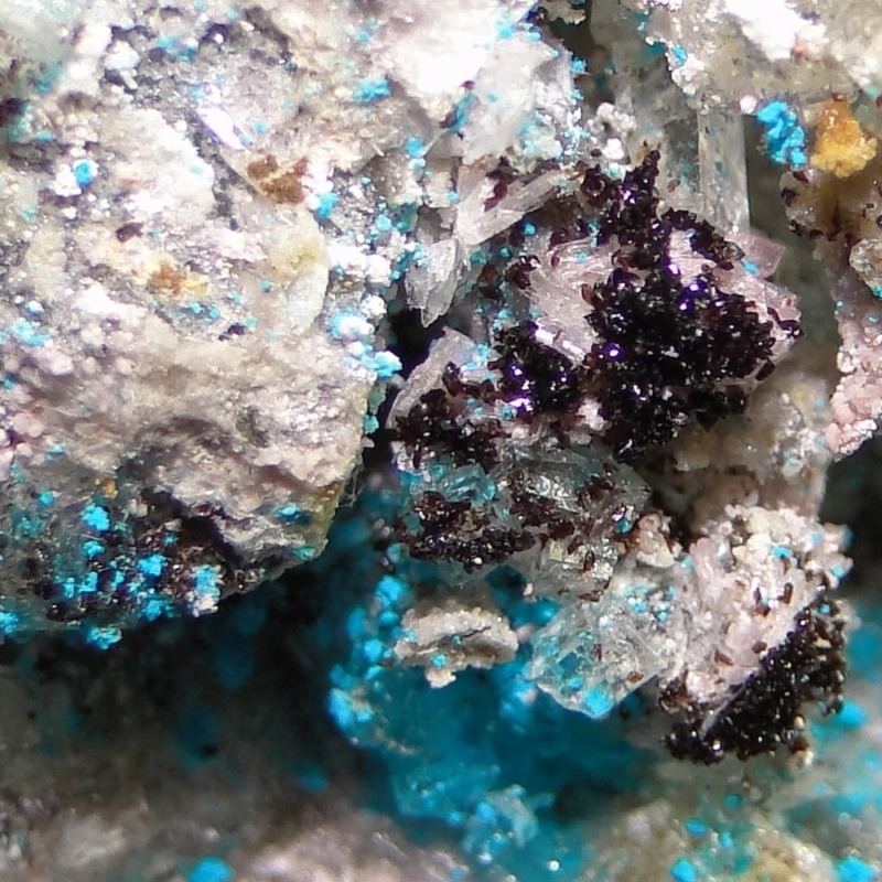 Canutite - Image 4