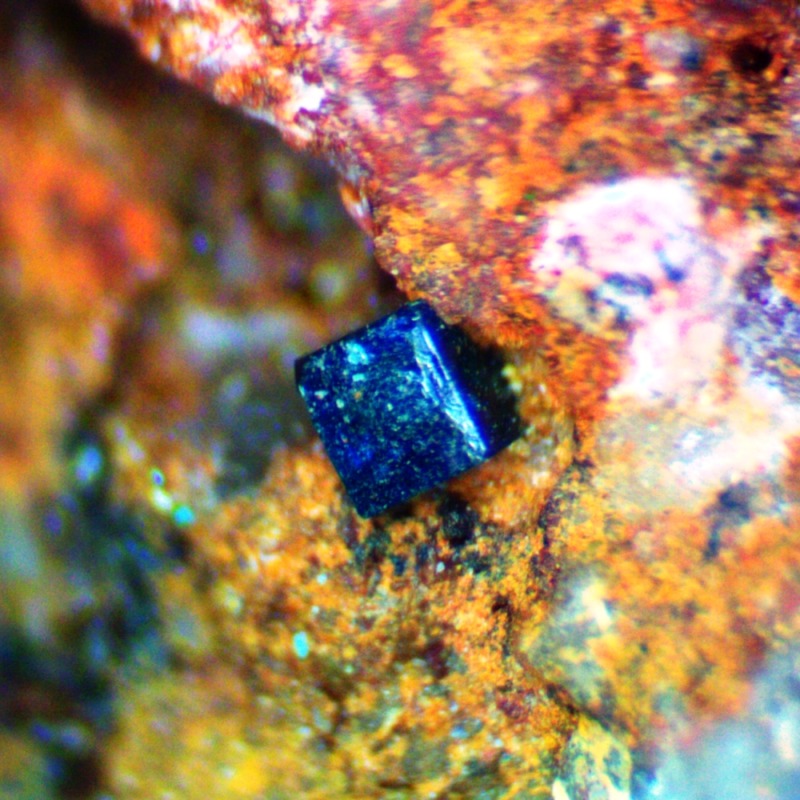 Percylite - Imagen 5