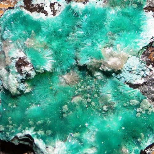 Aurichalcite