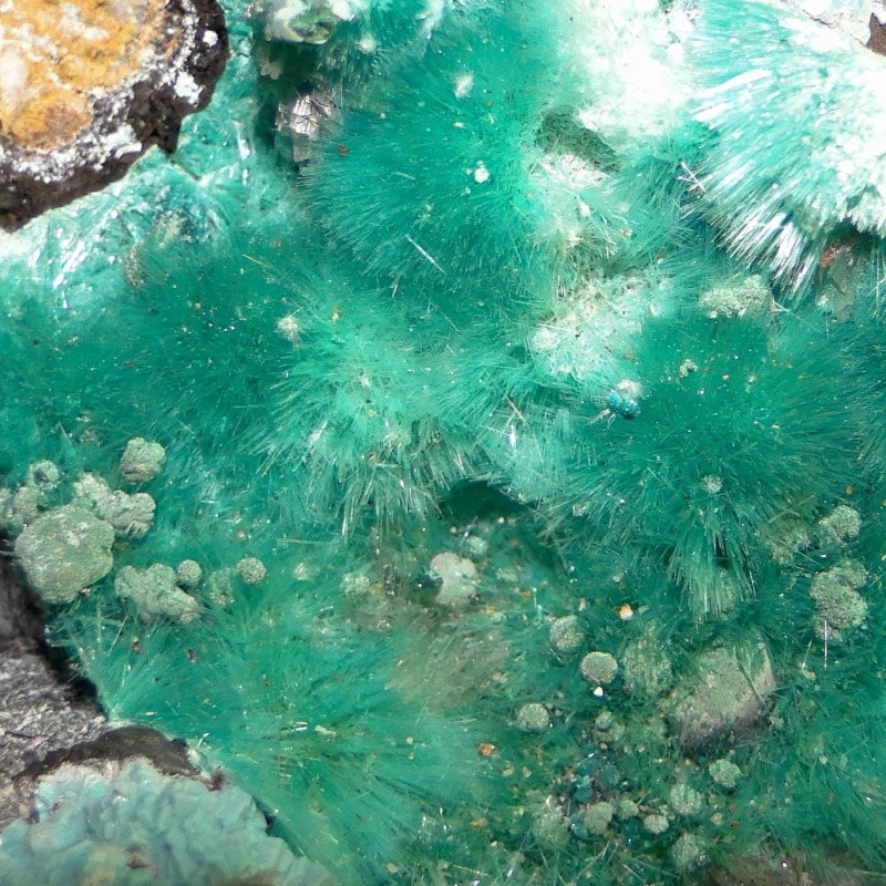 Aurichalcite - Image 4