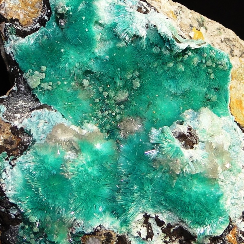 Aurichalcite - Image 3