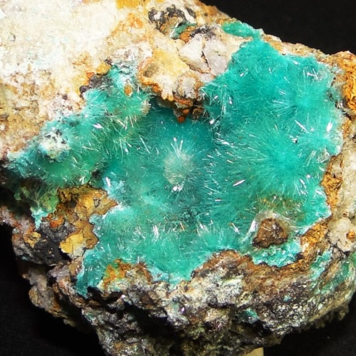 Aurichalcite