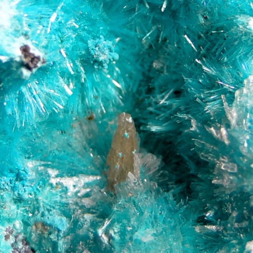 Aurichalcite