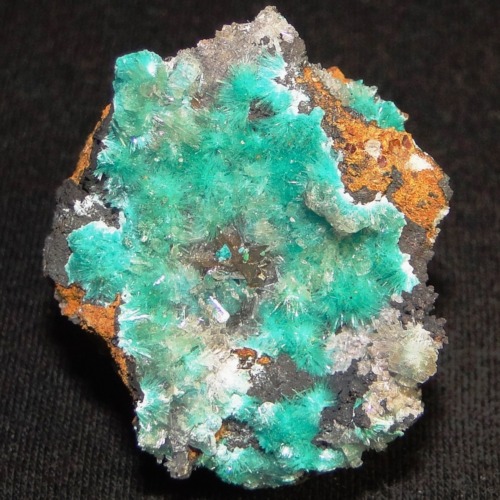 Aurichalcite