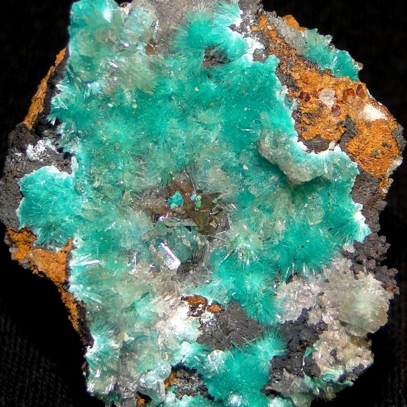 Aurichalcite - Image 2