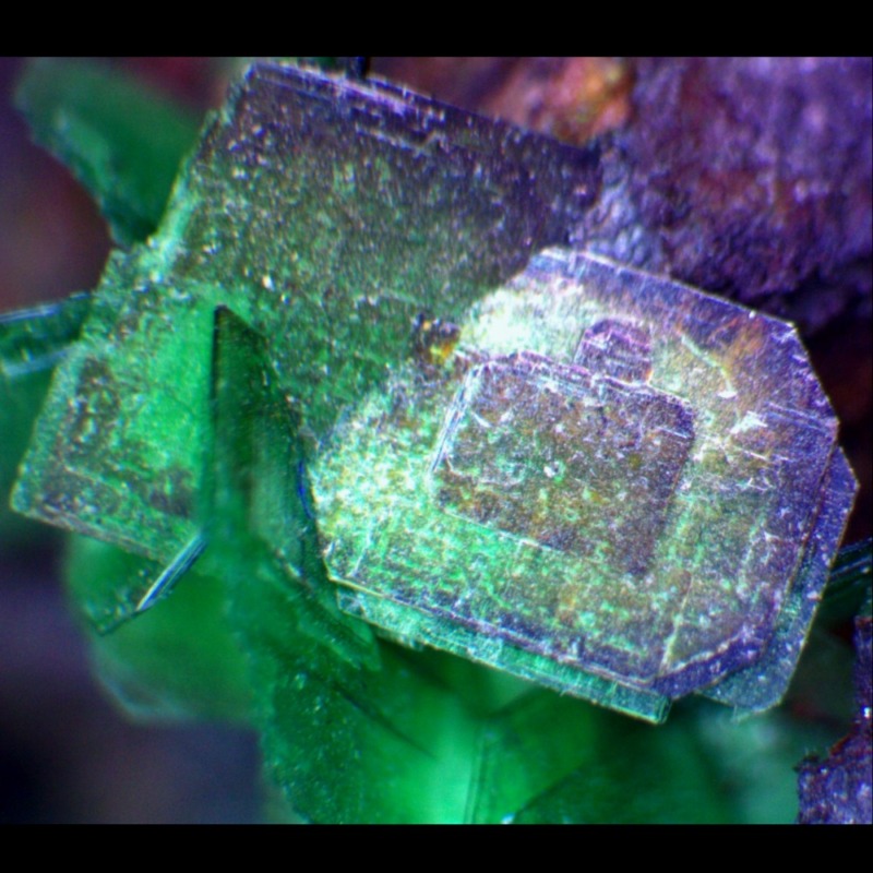 Torbernite - Image 5