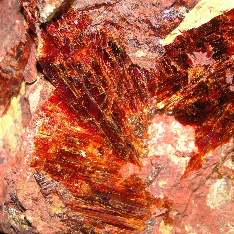 Amarantite