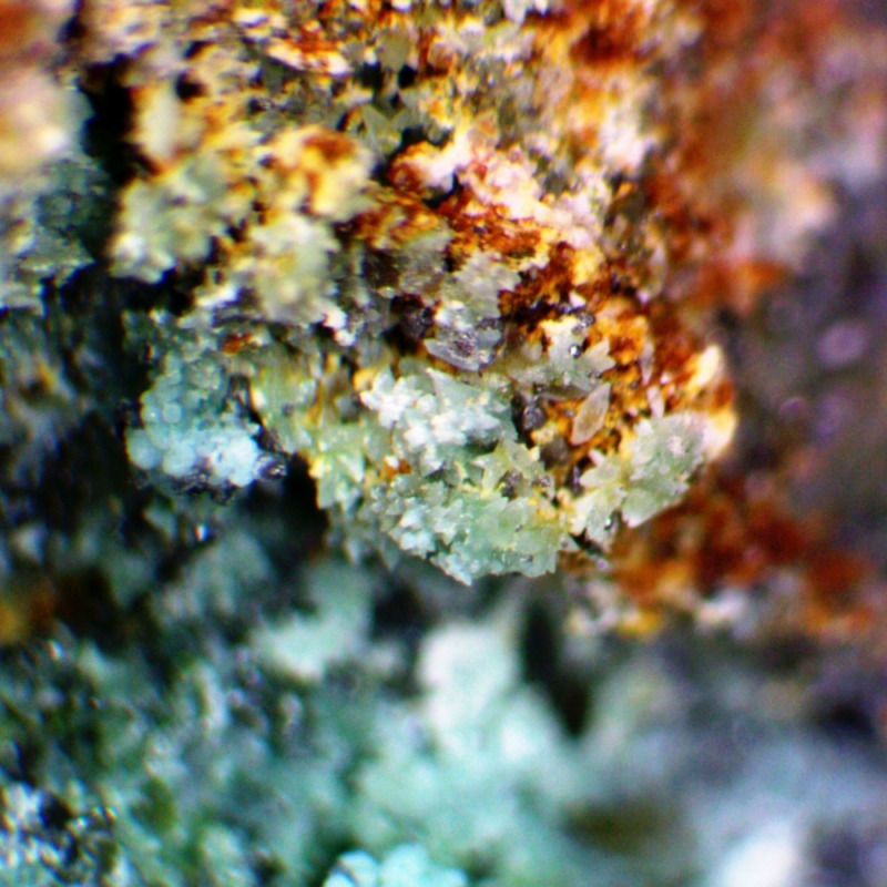 Rruffite & Chlorargyrite - Image 6