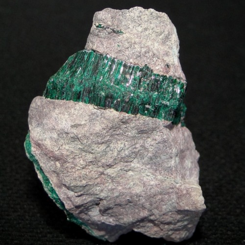 Antlerite