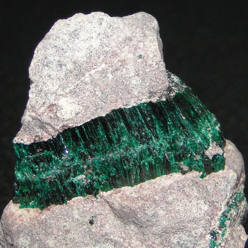 Antlerite - Image 2