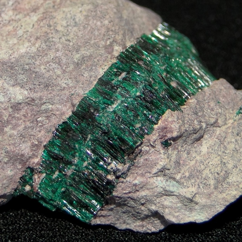 Antlerite - Image 5