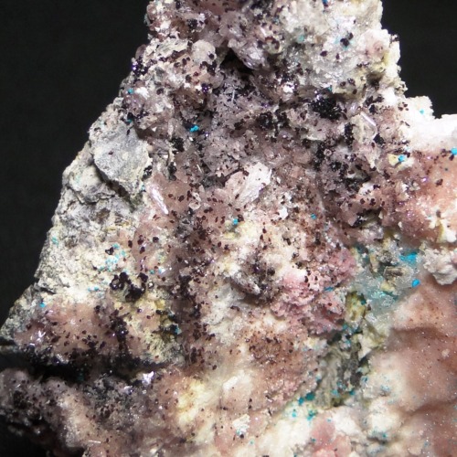Canutite
