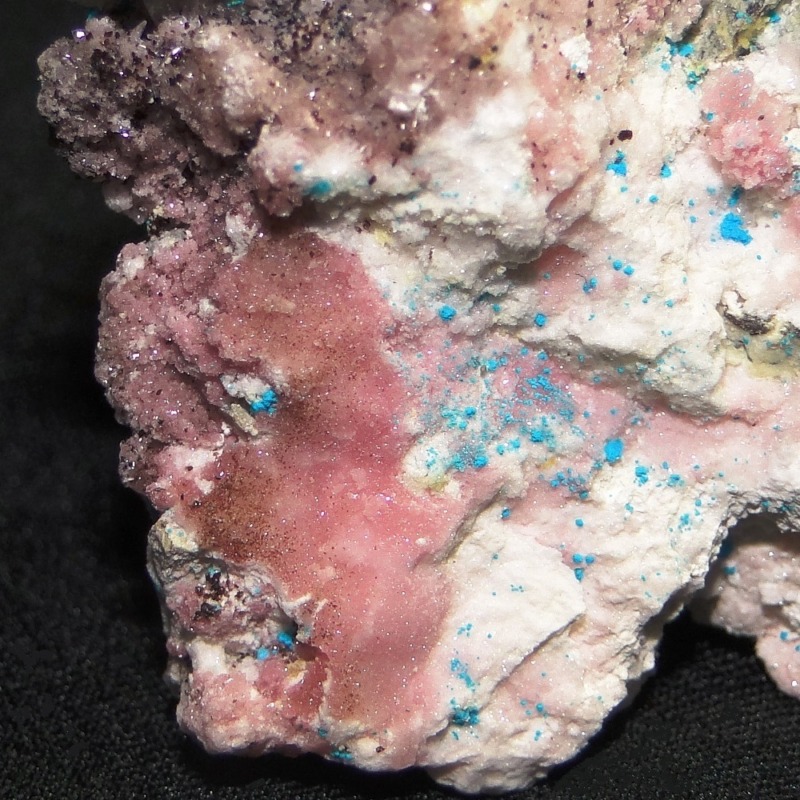 Canutite - Image 7