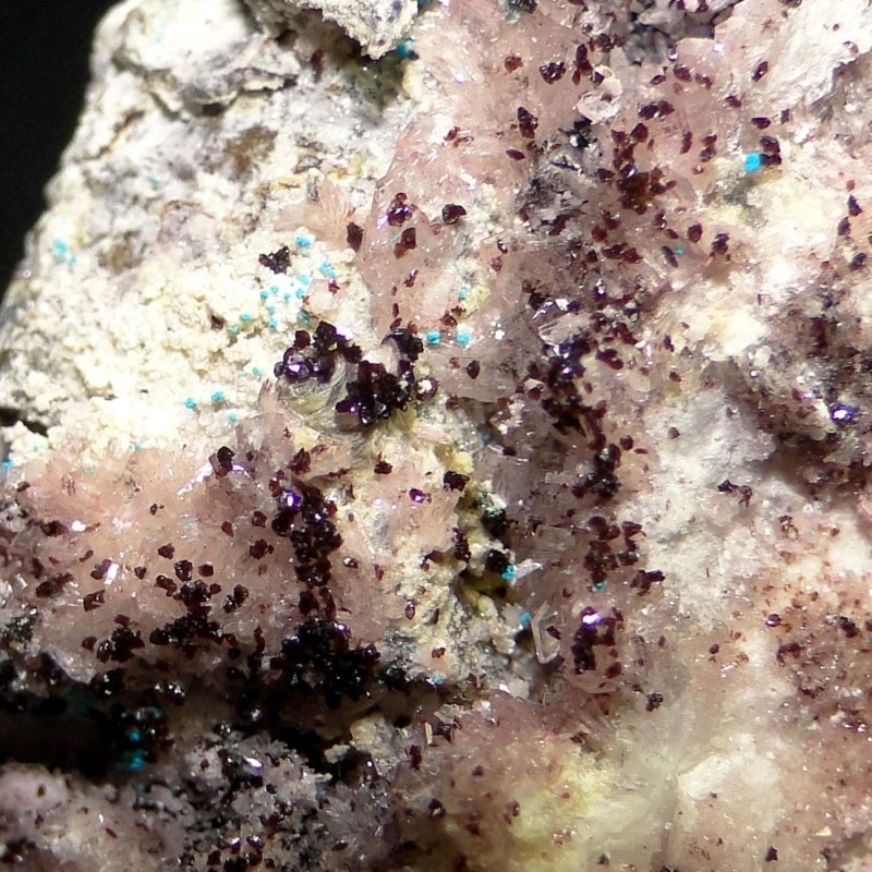 Canutite - Image 5