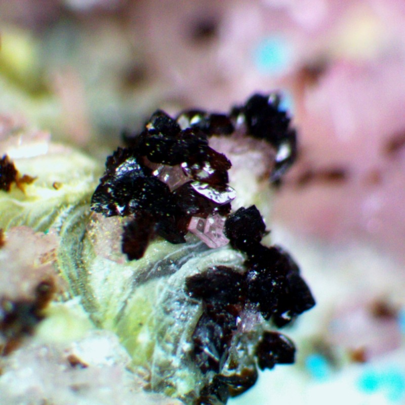 Canutite - Image 4