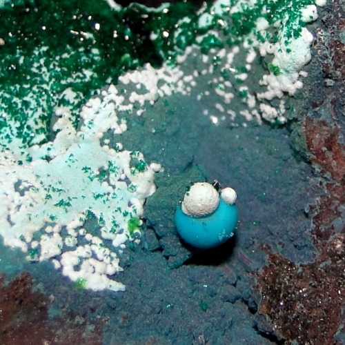 Brochantite & Chrysocolla