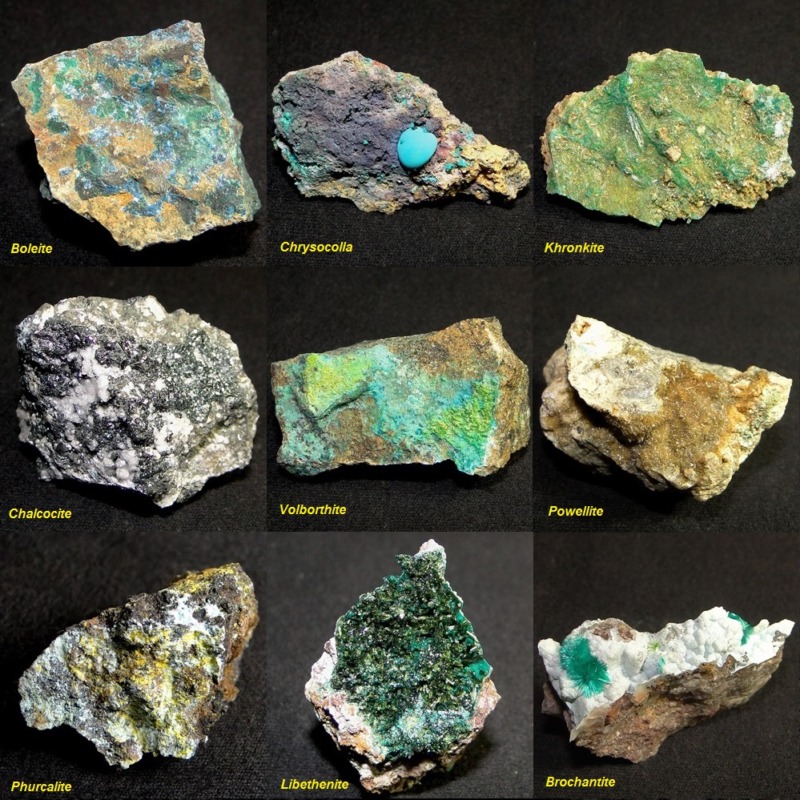 16 Studio Sampler - Image 8