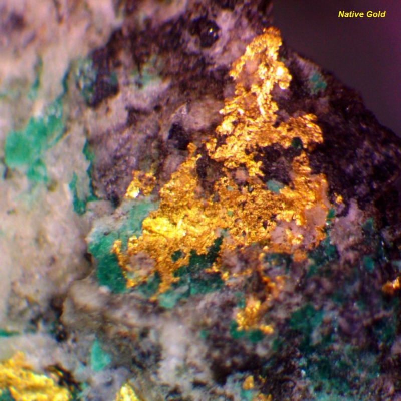 30 Studio Sampler - Image 7