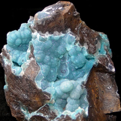 Chrysocolla & Chalcedony