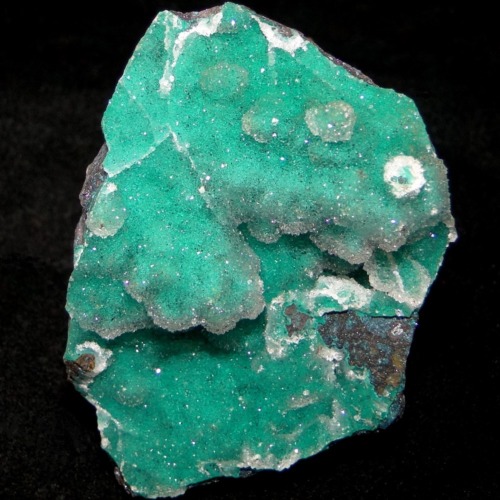 Chrysocolla & Chalcedony