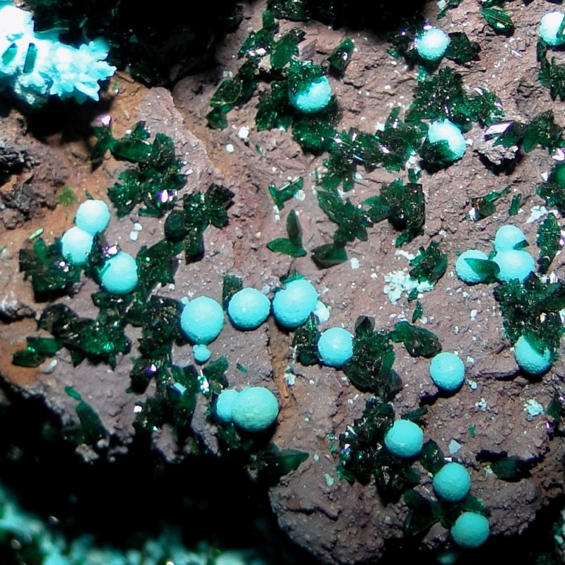 Chrysocolla & Brochantite