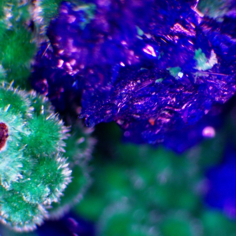 Linarite - Image 6