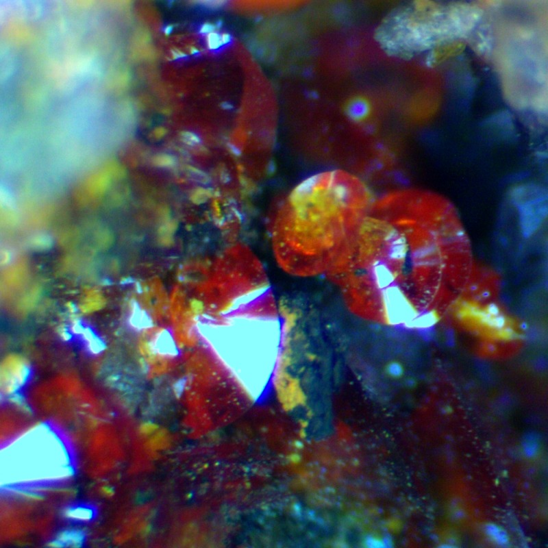 Seeligerite - Imagen 2