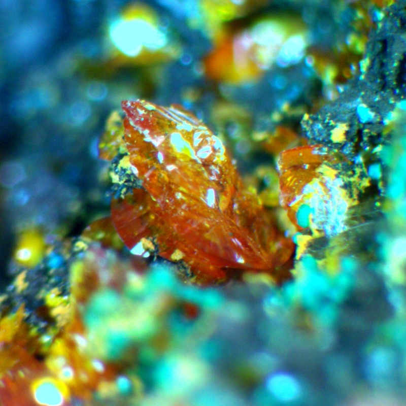 Seeligerite - Imagen 3