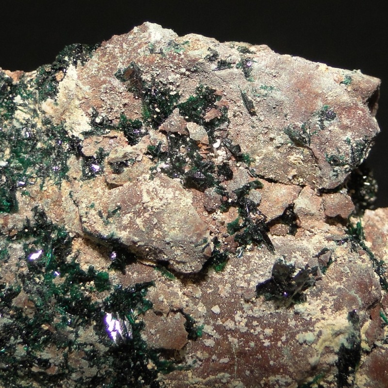 Anatacamite - Image 6