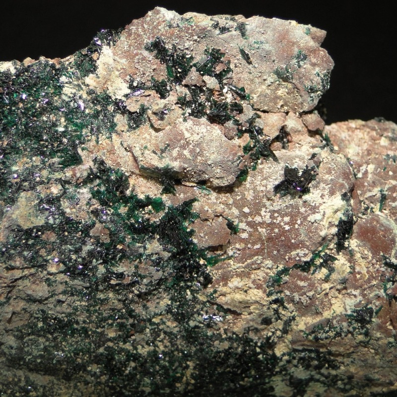 Anatacamite - Image 5