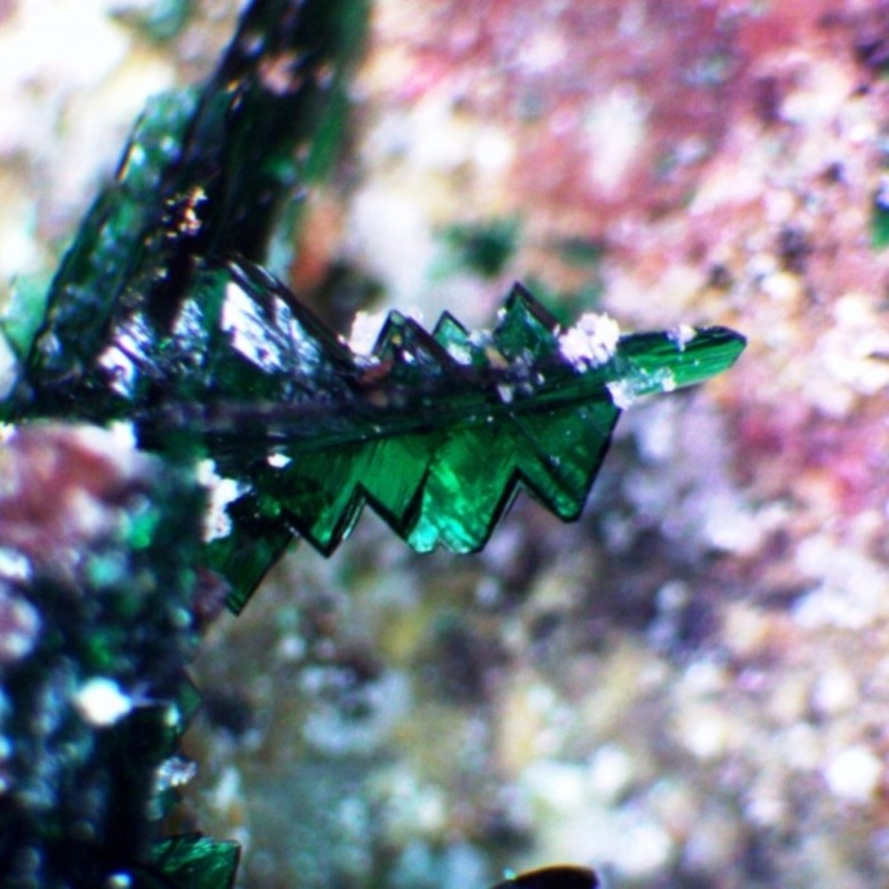Anatacamite - Image 2