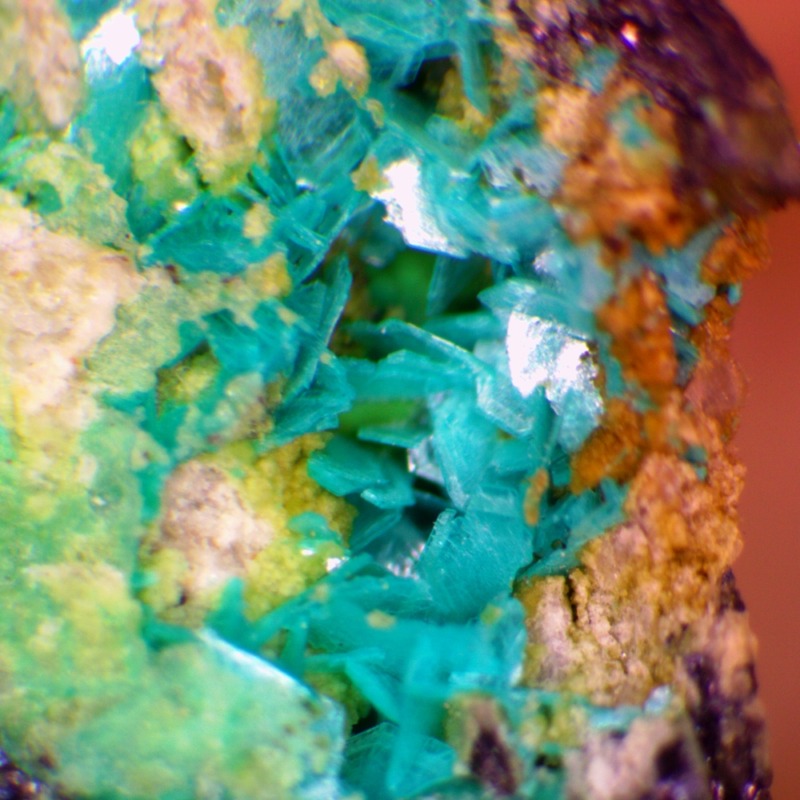 Chalcophyllite