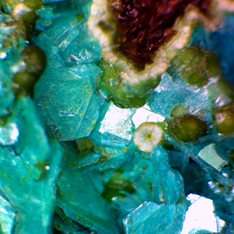 Chalcophyllite - Imagen 3