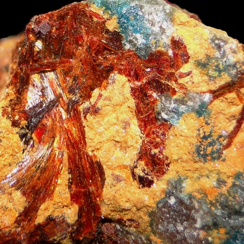 Amarantite