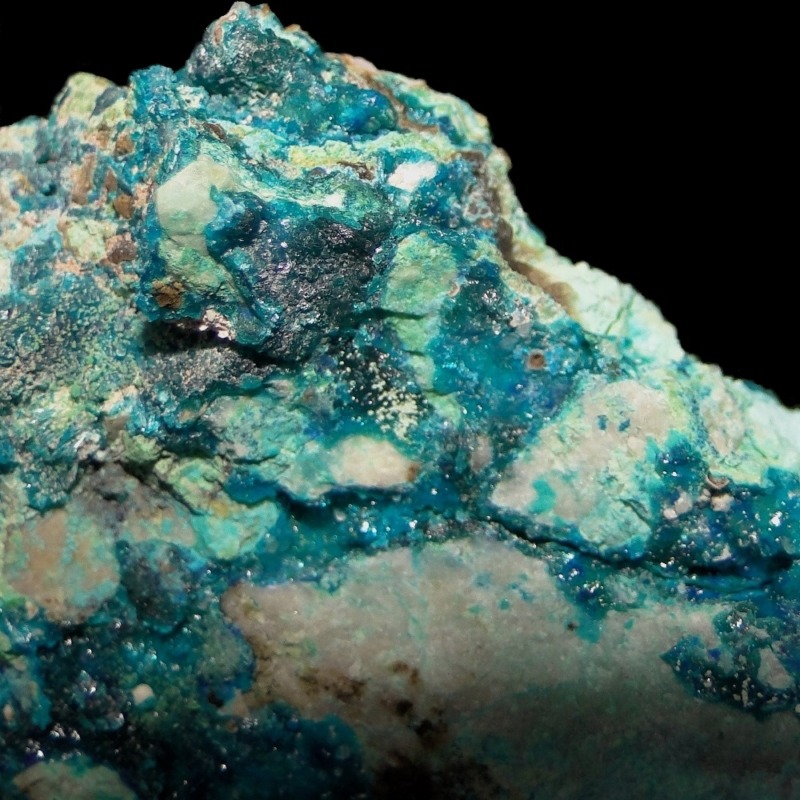 Guanacoite - Imagen 4