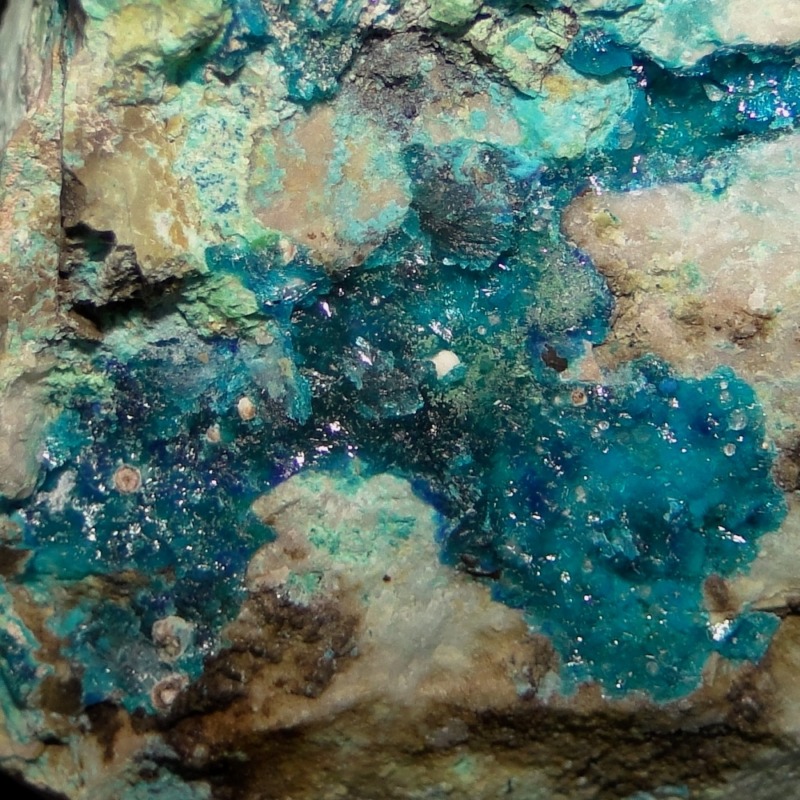 Guanacoite - Imagen 6
