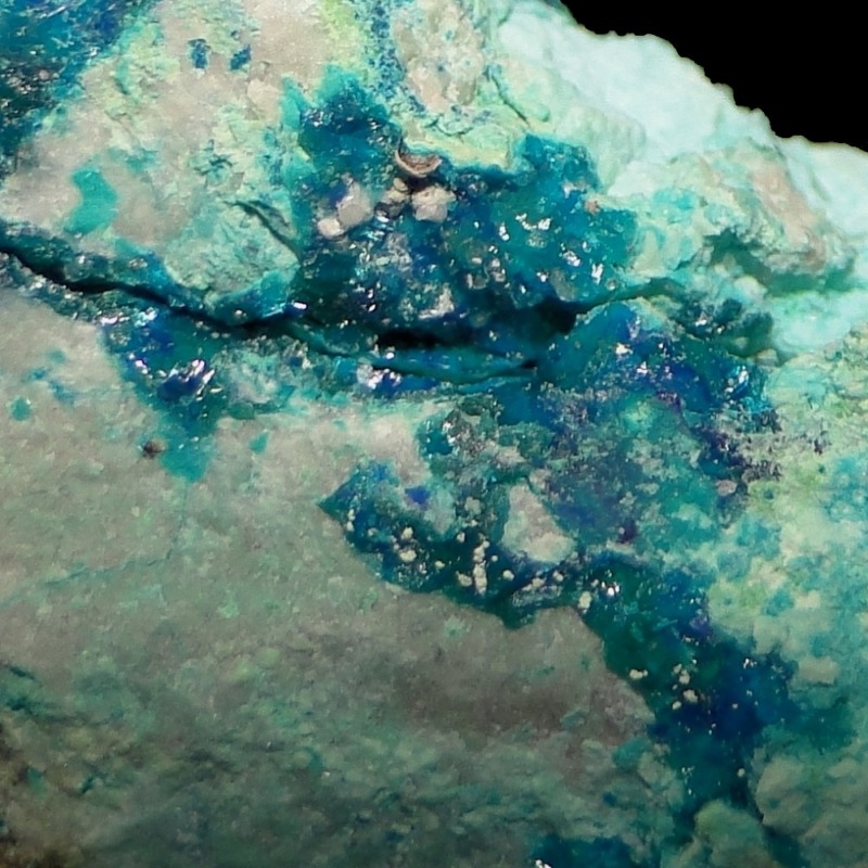 Guanacoite - Imagen 7