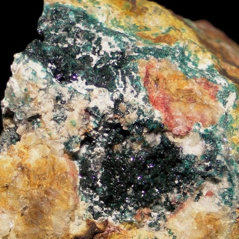 Hersbertsmithite