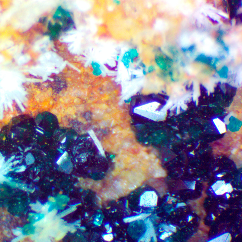 Hersbertsmithite - Image 3