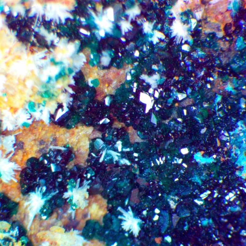 Hersbertsmithite - Image 4