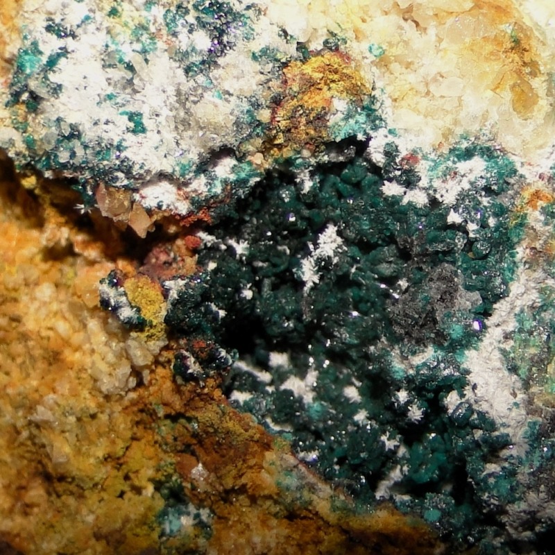Hersbertsmithite - Image 5