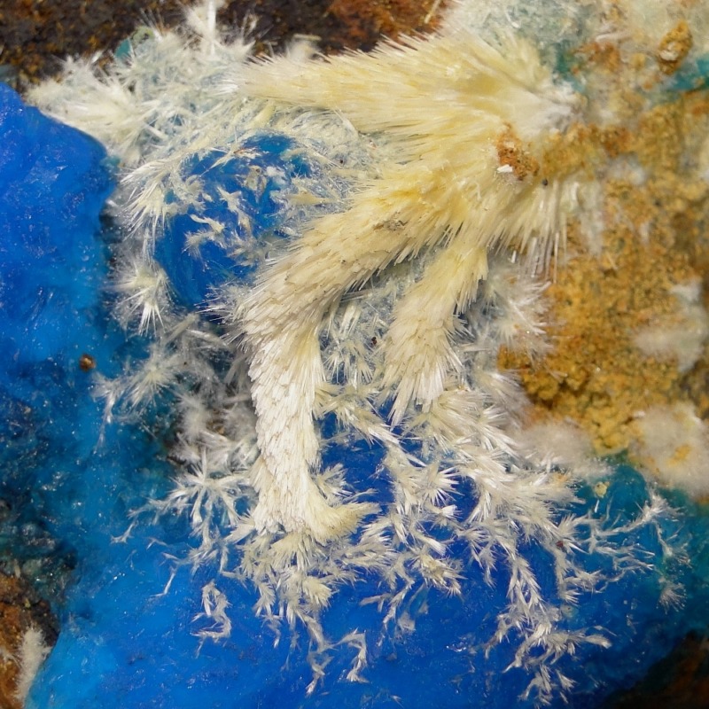 Chalcanthite - Image 4
