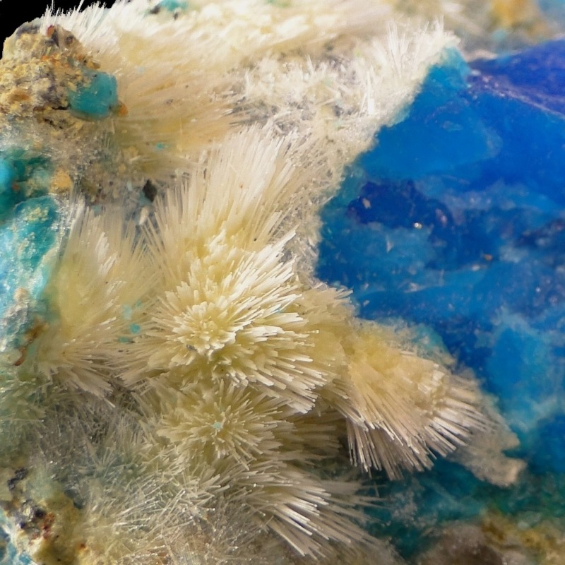 Pickeringite - Imagen 3