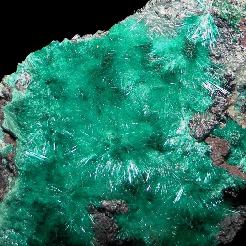 Brochantite - Image 6