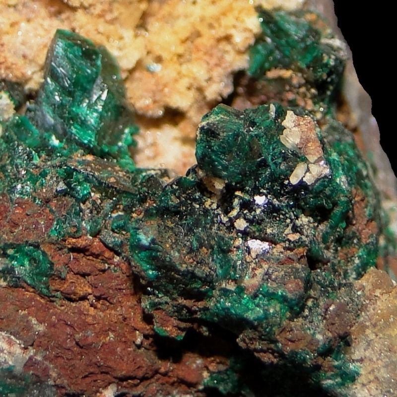 Antlerite
