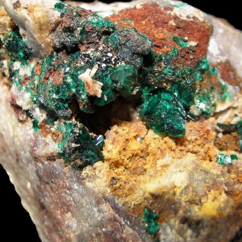 Antlerite - Imagen 6